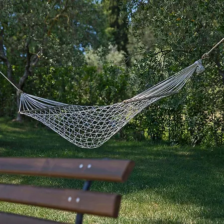 Panoramic In 17th Century